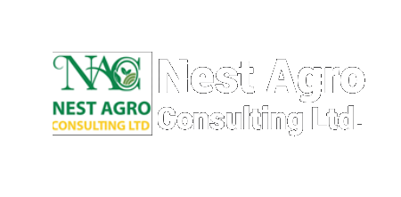 Nest Agro Consult Ltd.