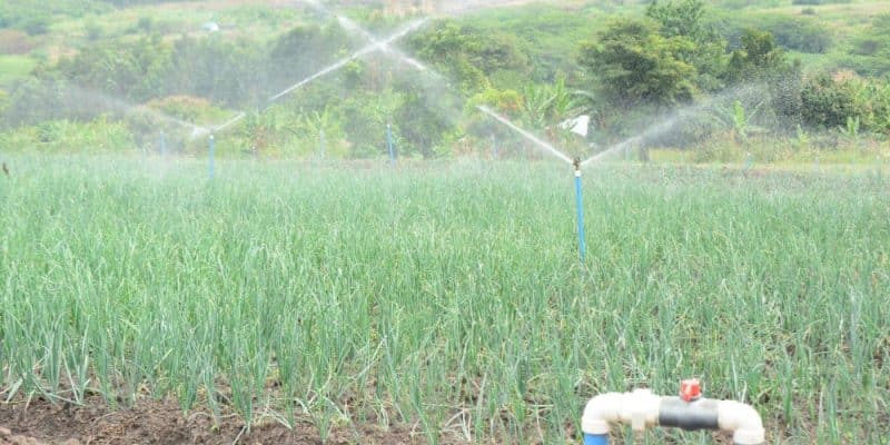 Feasibility Studies for Mega Irrigation schemes around Mt. Rwenzori Area and Design of Rwimi Irrigation Scheme