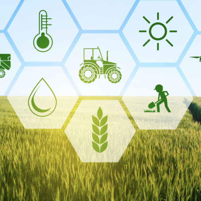 Consultancy to develop a simple well-illustrated reference training manual